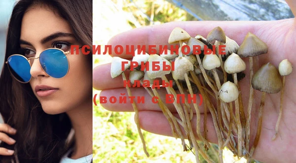 экстази Алексеевка