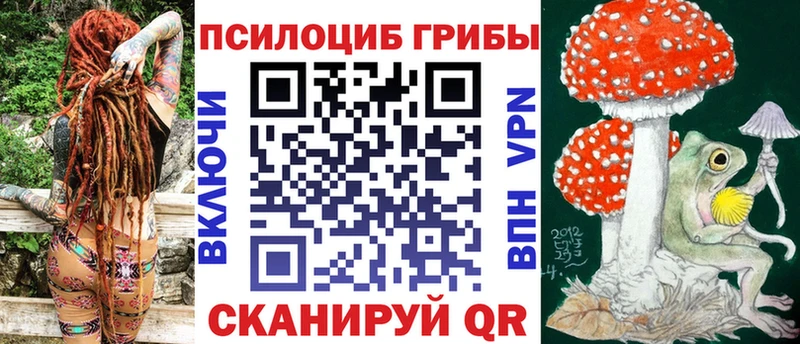 mega ССЫЛКА Осинники Галлюциногенные грибы Magic Shrooms